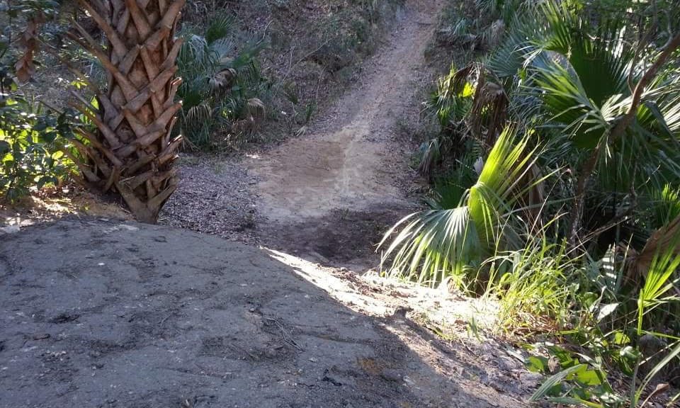 Caloosahatchee regional park discount mountain bike trail