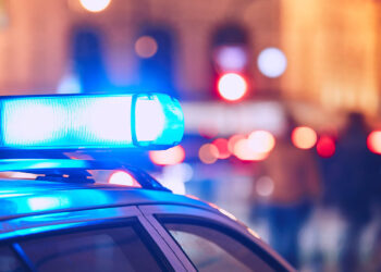 crime down flagler county