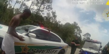 ward arrest palm coast