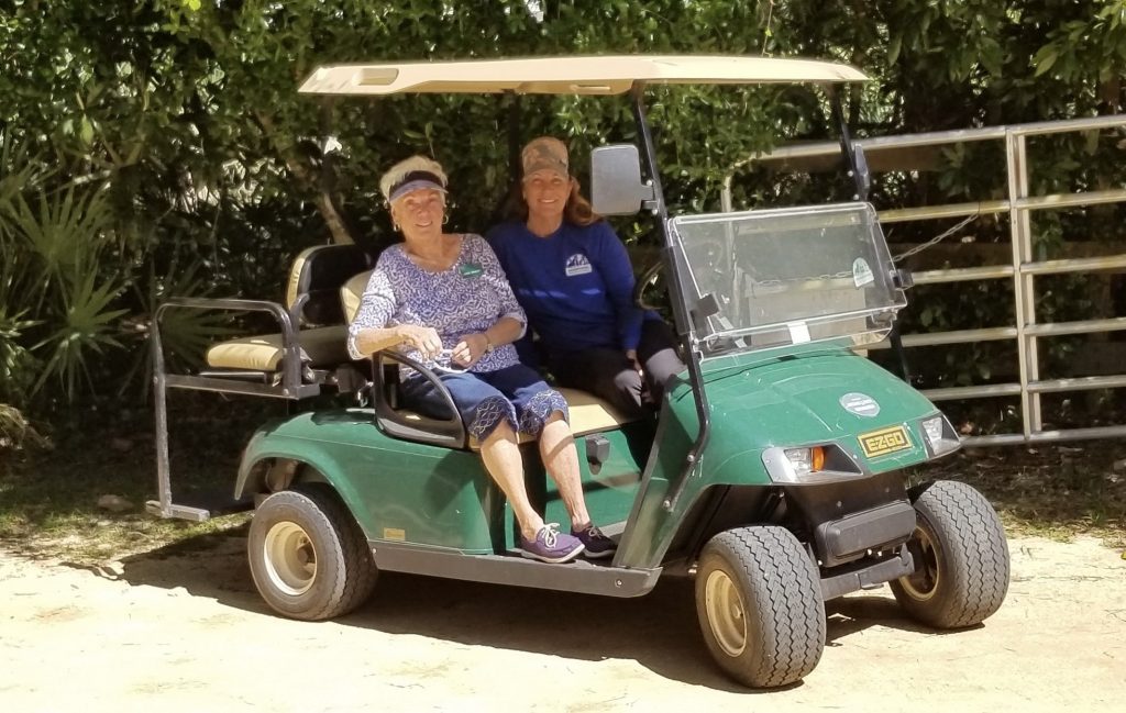 A Closer Look at the Irish Social Club of Palm Coast AskFlagler