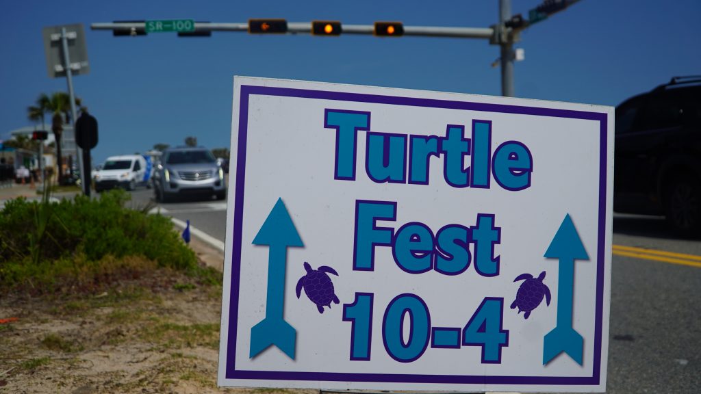 Gallery 15th Annual Turtle Fest in Flagler Beach AskFlagler