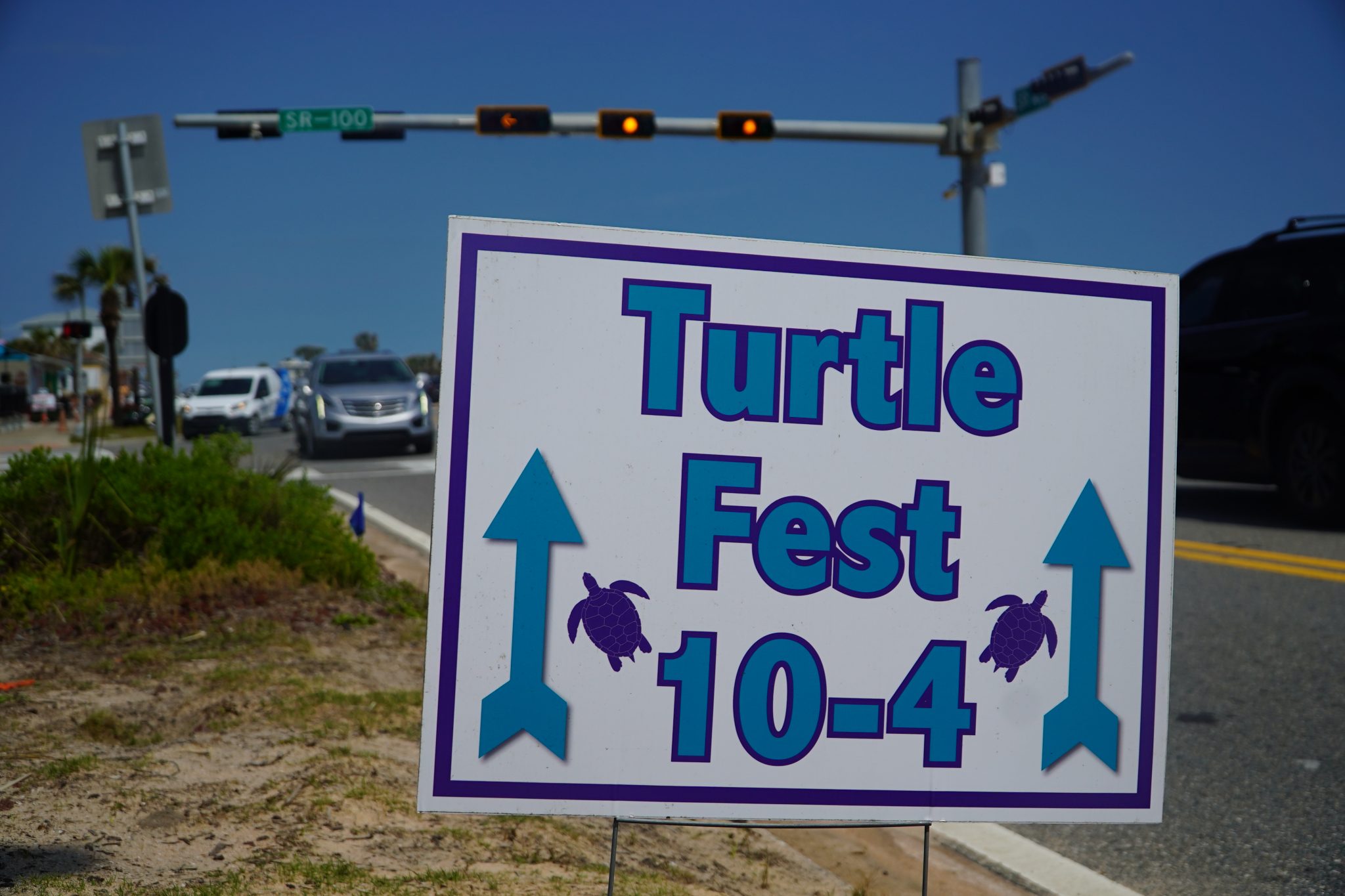 Gallery 15th Annual Turtle Fest in Flagler Beach AskFlagler