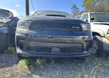 Palm Coast Woman Cleared in October 2025 Hit-and-Run Crash