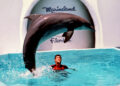 Marineland: Florida’s First Oceanarium Story