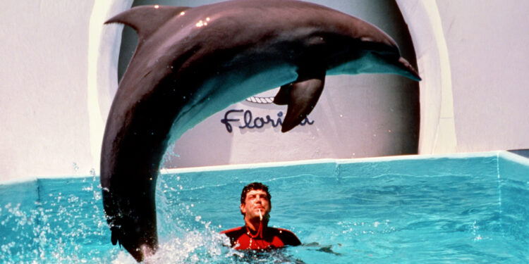 Marineland: Florida’s First Oceanarium Story