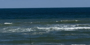 Paddleboarder Bitten by Shark Off Flagler Beach Coast