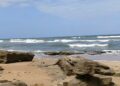 Water Advisory Issued for River-to-Sea Preserve