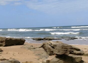 Water Advisory Issued for River-to-Sea Preserve