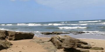 Water Advisory Issued for River-to-Sea Preserve