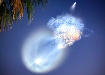 Florida Residents Wowed by ‘Space Jellyfish’ Tuesday Morning