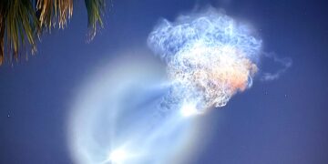 Florida Residents Wowed by ‘Space Jellyfish’ Tuesday Morning