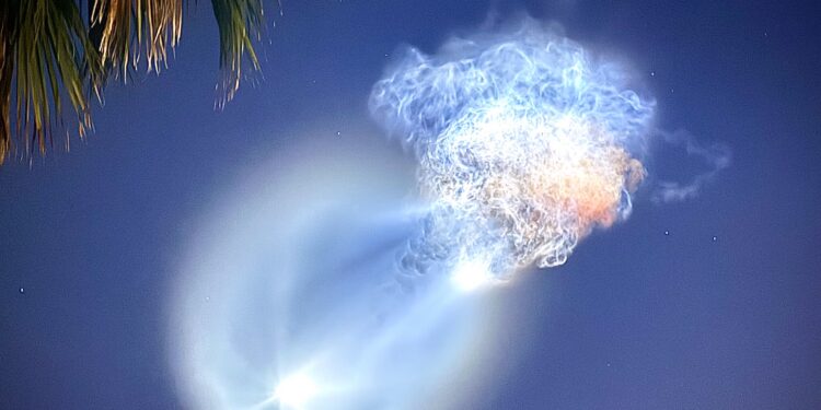 Florida Residents Wowed by ‘Space Jellyfish’ Tuesday Morning
