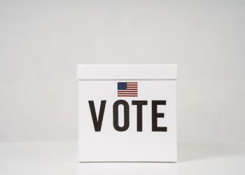 Flagler County Ranks 6th in Florida for Early Voting Turnout